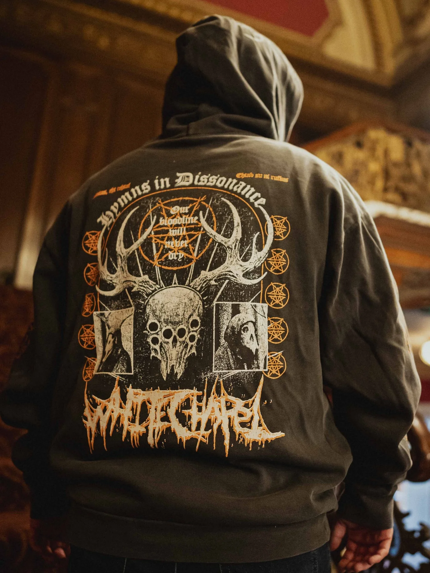 Bloodlines Pigment Black Pullover - Image 5